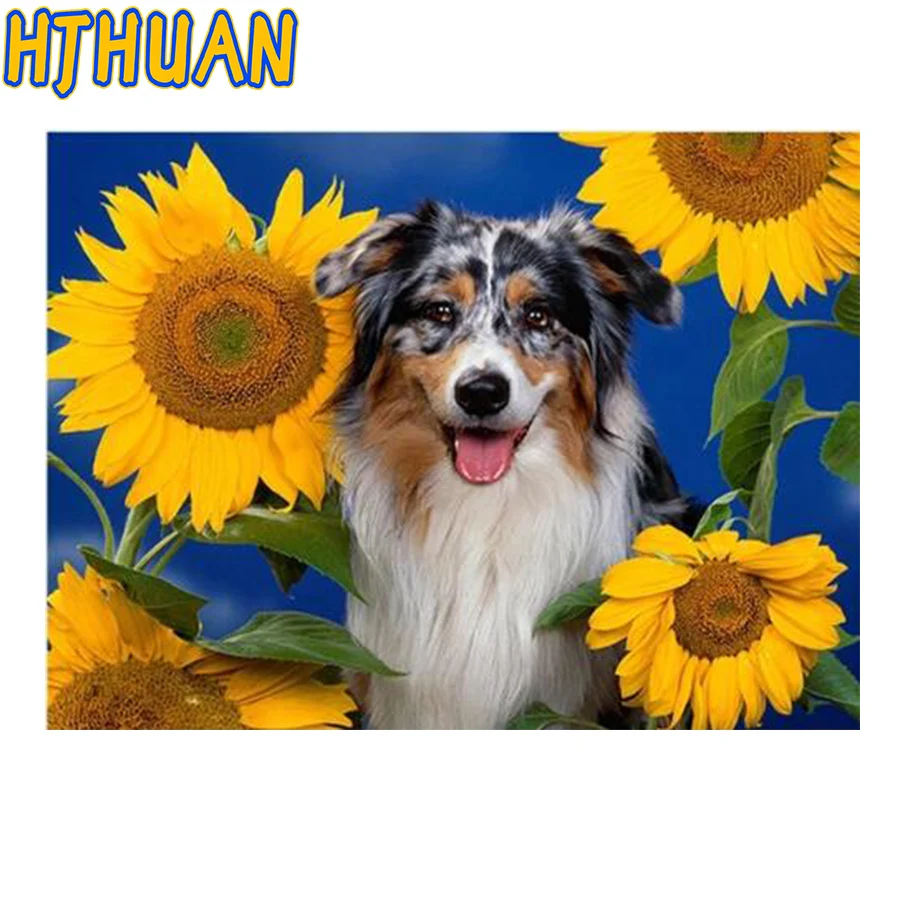 diy diamond painting 5D round square sunflower Berne Mountain dog embroidery animal mosaic diamond cute pet puppy wall painting,