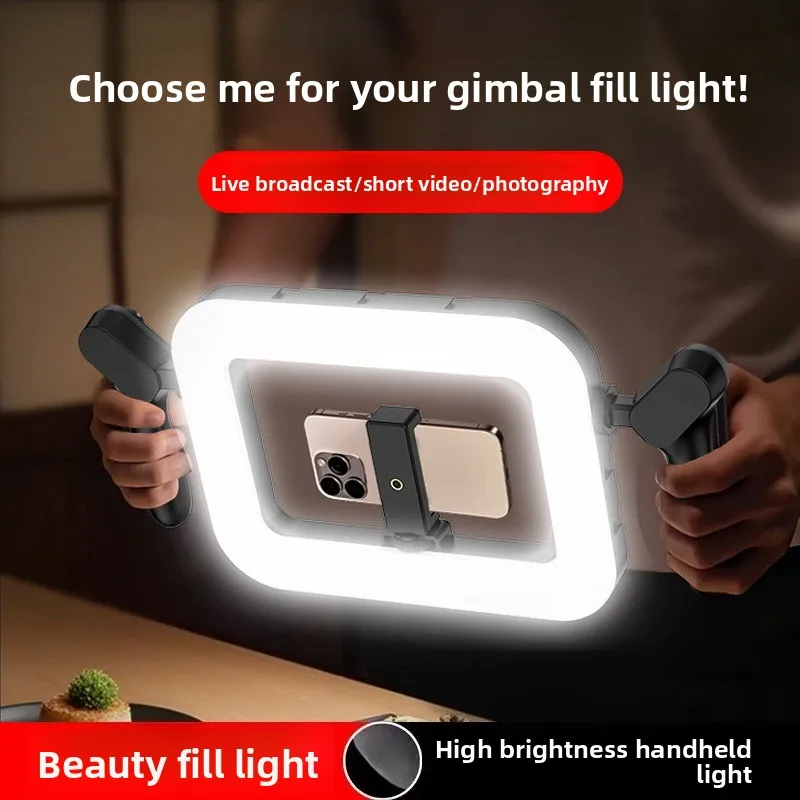 Portable Handheld Photography Fill Light, Professional Outdoor Shooting Lamp for Mobile Live Streaming and Store Visit Vlog