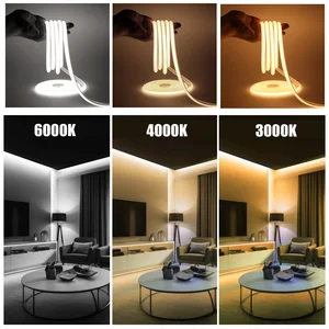 AC 220V COB NEON 288LEDS/M Weiß Rot Blau Rose gelbgrün 8 Hauptverkäufe lila LED -Band - №5