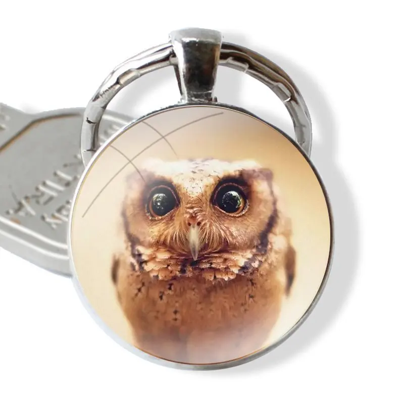 Beautiful Flamingo Eagle Owl Bird 25mm Glass Cabohcon Keychain Key Rings for Women Men Jewelry Gift