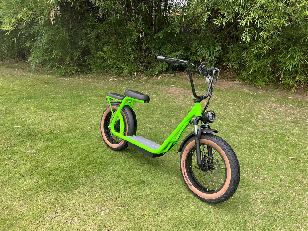 Newest two fat wheels Electric Motorcycle, powerful 1000w 48v motor changeable battery CITYCOCO with LCD Display