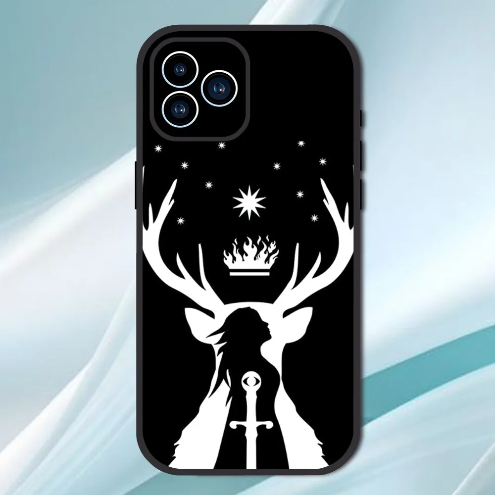 Throne Of Glass Phone Case For iPhone 13 12 11 14 15 Pro XS Max XR X 8 7 6S 6 Plus SE 2020 Soft Back case