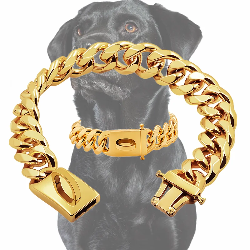 Collar dorado para perro, Gargantilla de Metal de acero inoxidable para mascotas, plomo plateado de 19mm de ancho para perros medianos y grandes, Bulldog Francés, Labrador Retriever
