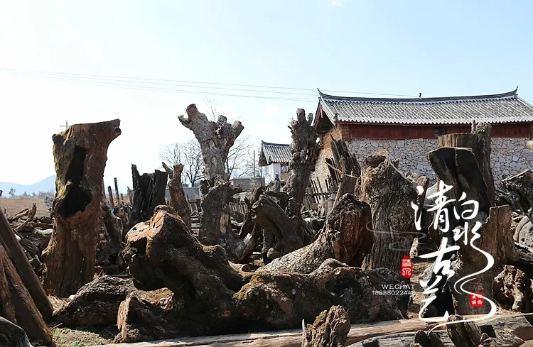 

Horticulture root carving solid wood ornament project landscaping dead wood tree roots landscape park solid wood natural