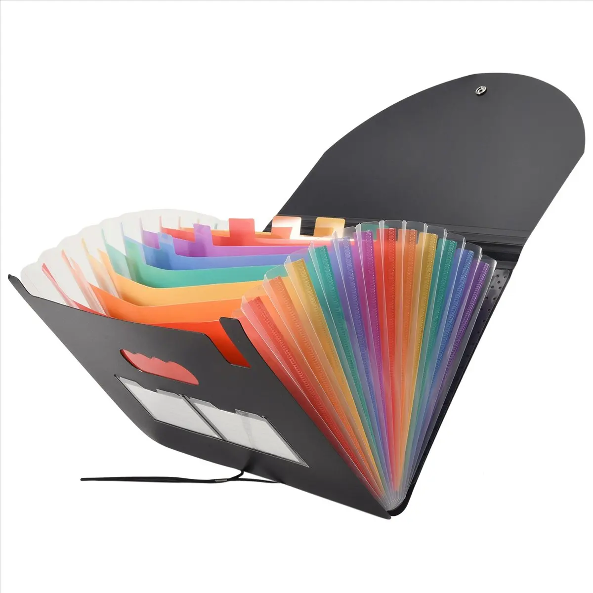 doyou Document Organizer 13 Pockets Expanding Folder with Mesh Bag & Color Label 13 Monthly Bill Receipt Organizer A4 Size