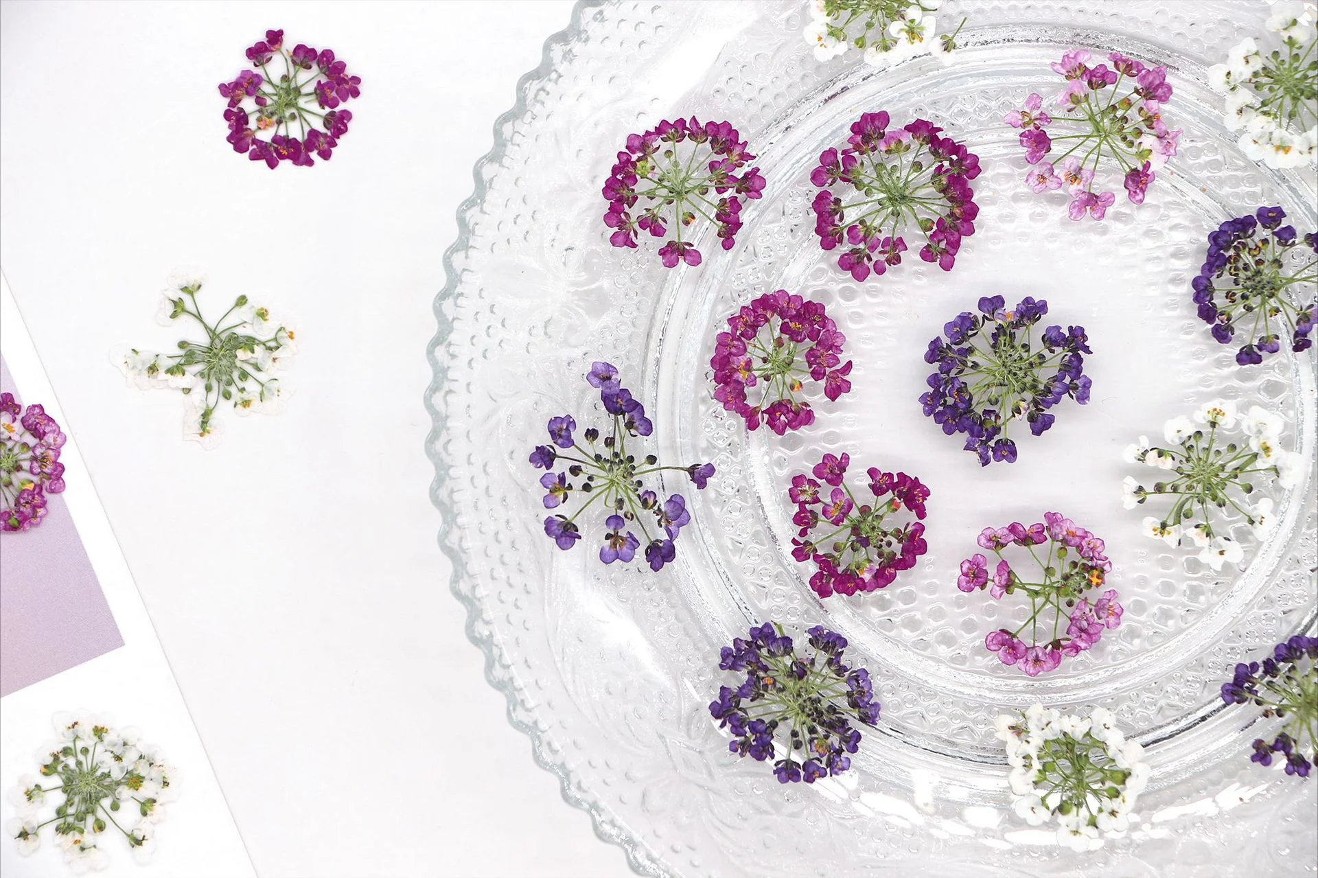 

60Pcs Fragrant Snowball Flowers, Real Dried Flowers, Pressed Flowers, Resin Photo Frames, Bookmarks, Pressed Flowers, DIY Handmade Plant Specimens, Floral Materials