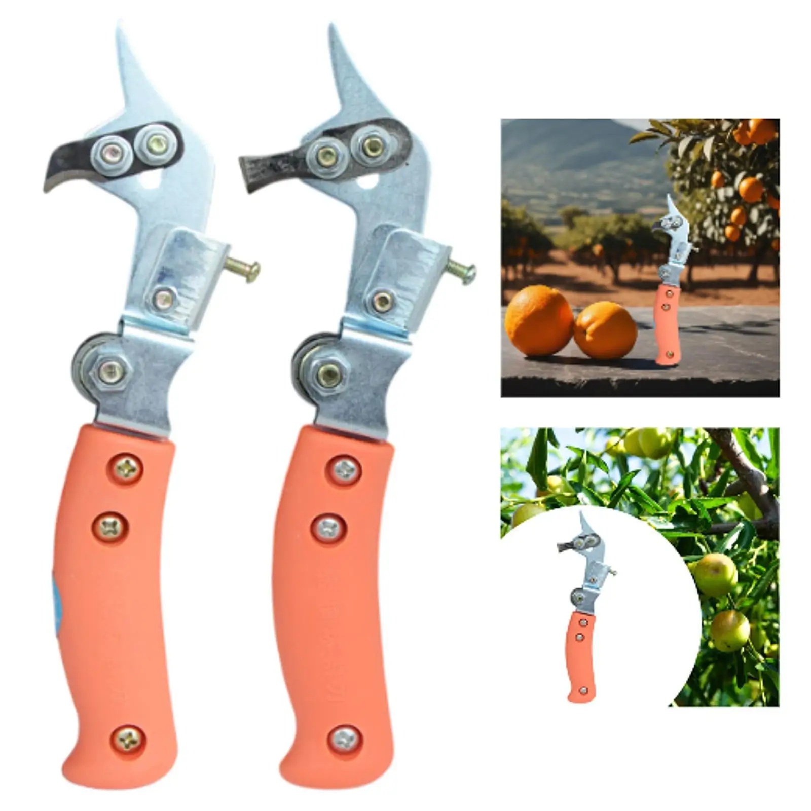 Taglia anelli per alberi da frutto Cesoie per rami Manico ergonomico pratico Migliora i rendimenti Forbici da taglio per anelli robuste per la casa