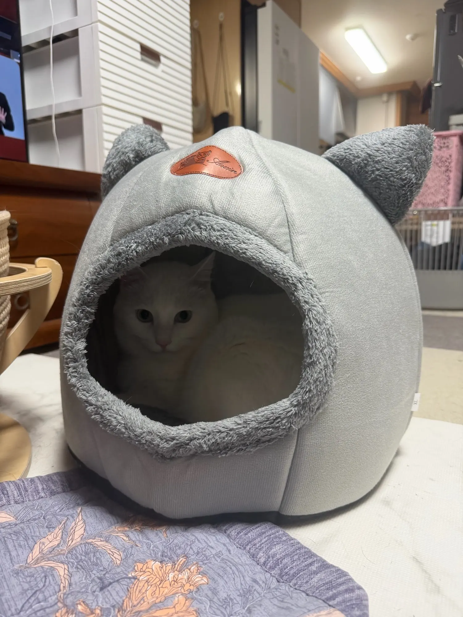 구매후기
