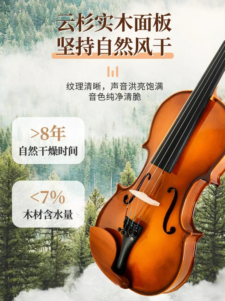 Violin Beginners' Professional Grade Examination Solo Instrument