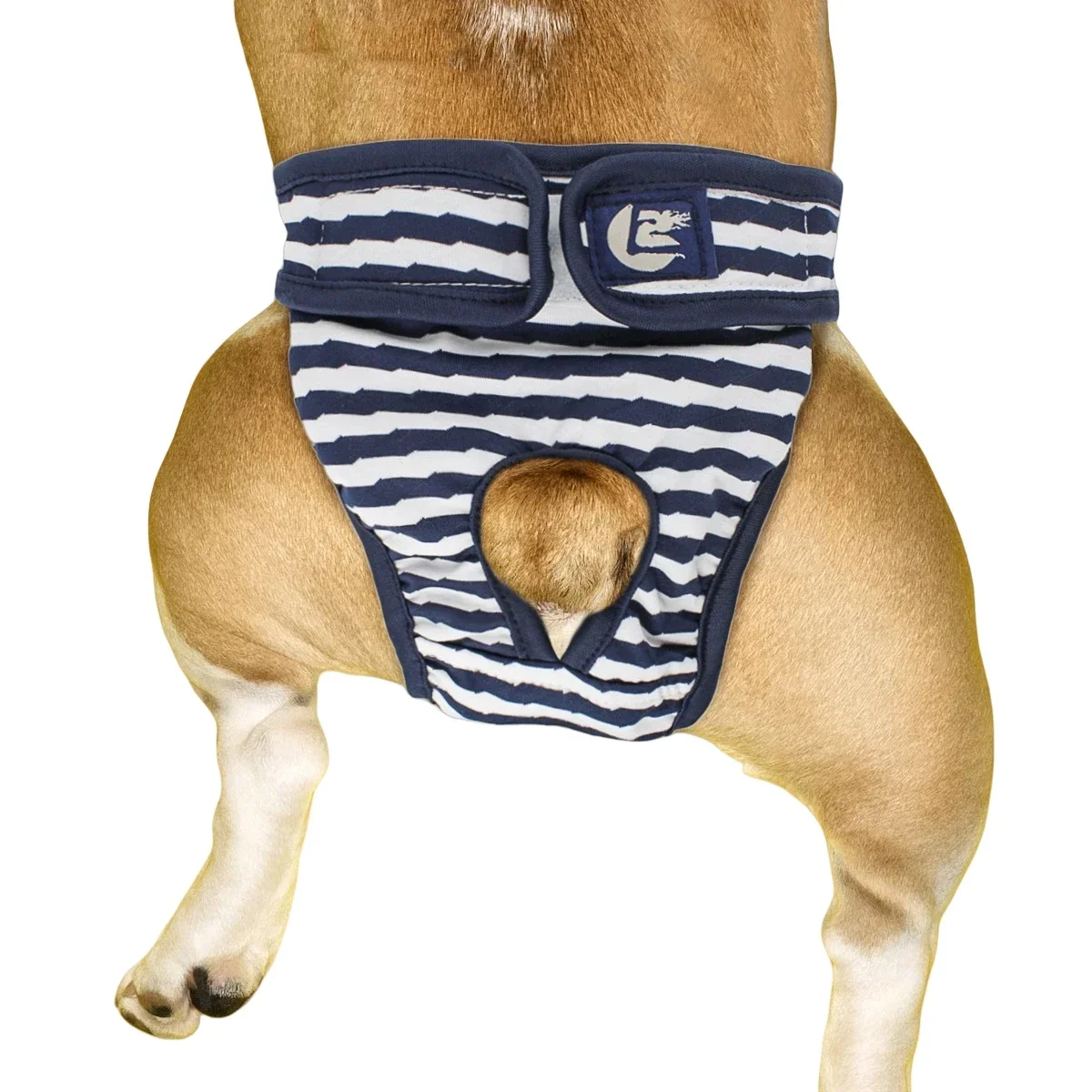 

Female Dog Shorts Panties Menstruation Underwear Briefs Jumpsuit Pet Physiological Pant Diaper Sanitary Washable Dog Pants