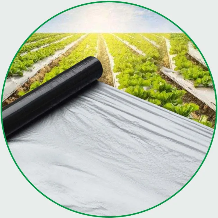 2025Cheap Agriculture Farm Mulch Films for Crops Mulching Plastic