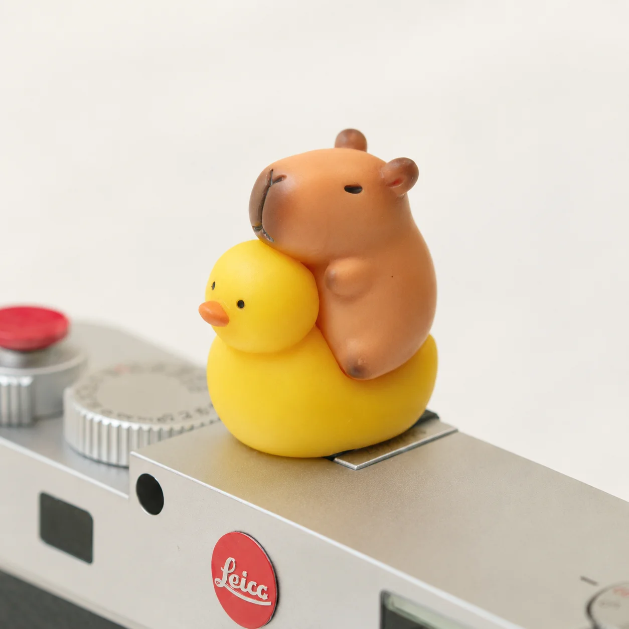 Cute Capybara Hot Shoe Cover for Sony ZV-E10 A7C II Canon R50 Fujifilm X100VI X-T30 II Camera Dust Cap