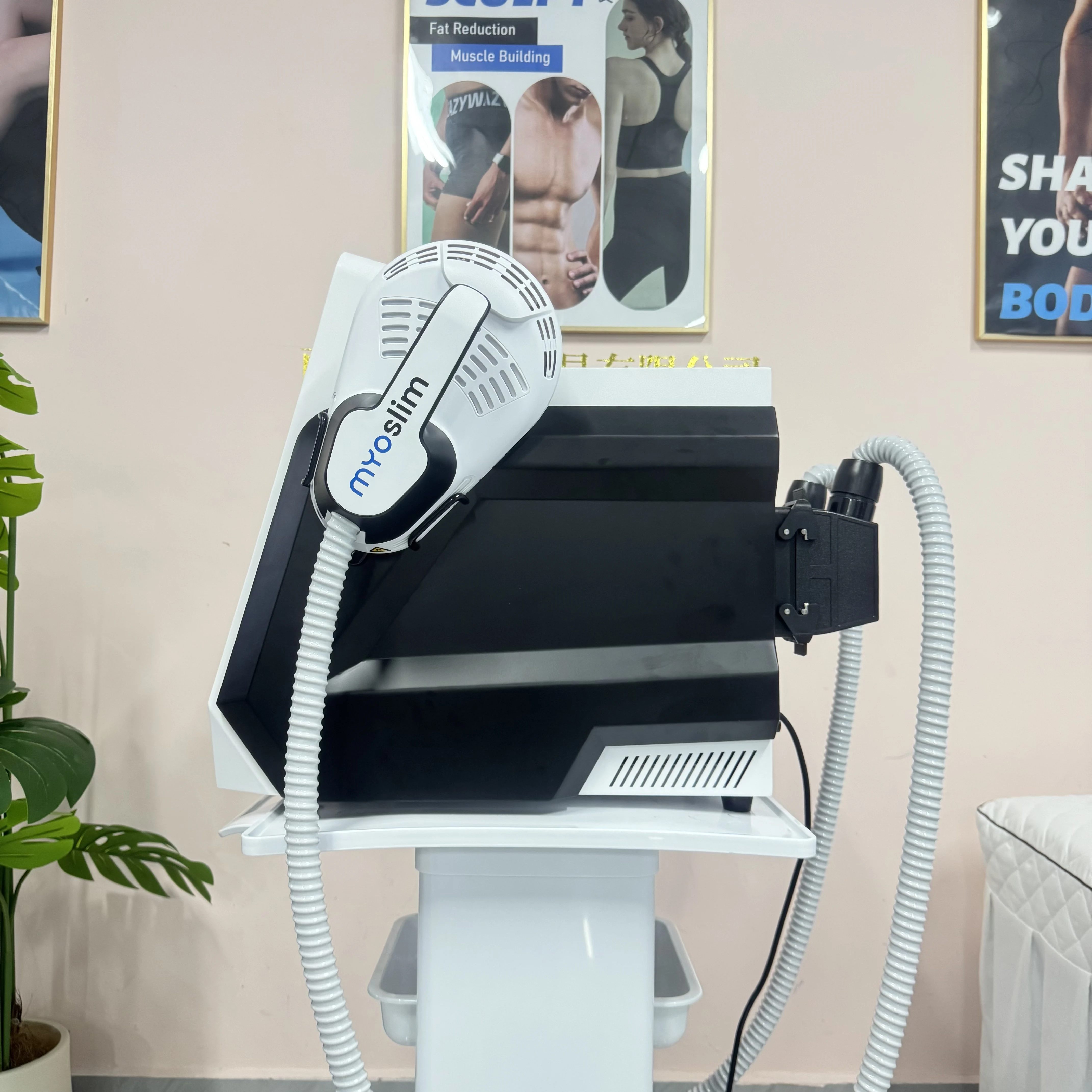 MYoslim Professional  RF Fat L - đánh giá và giá Ems Muscle Stimulator Body