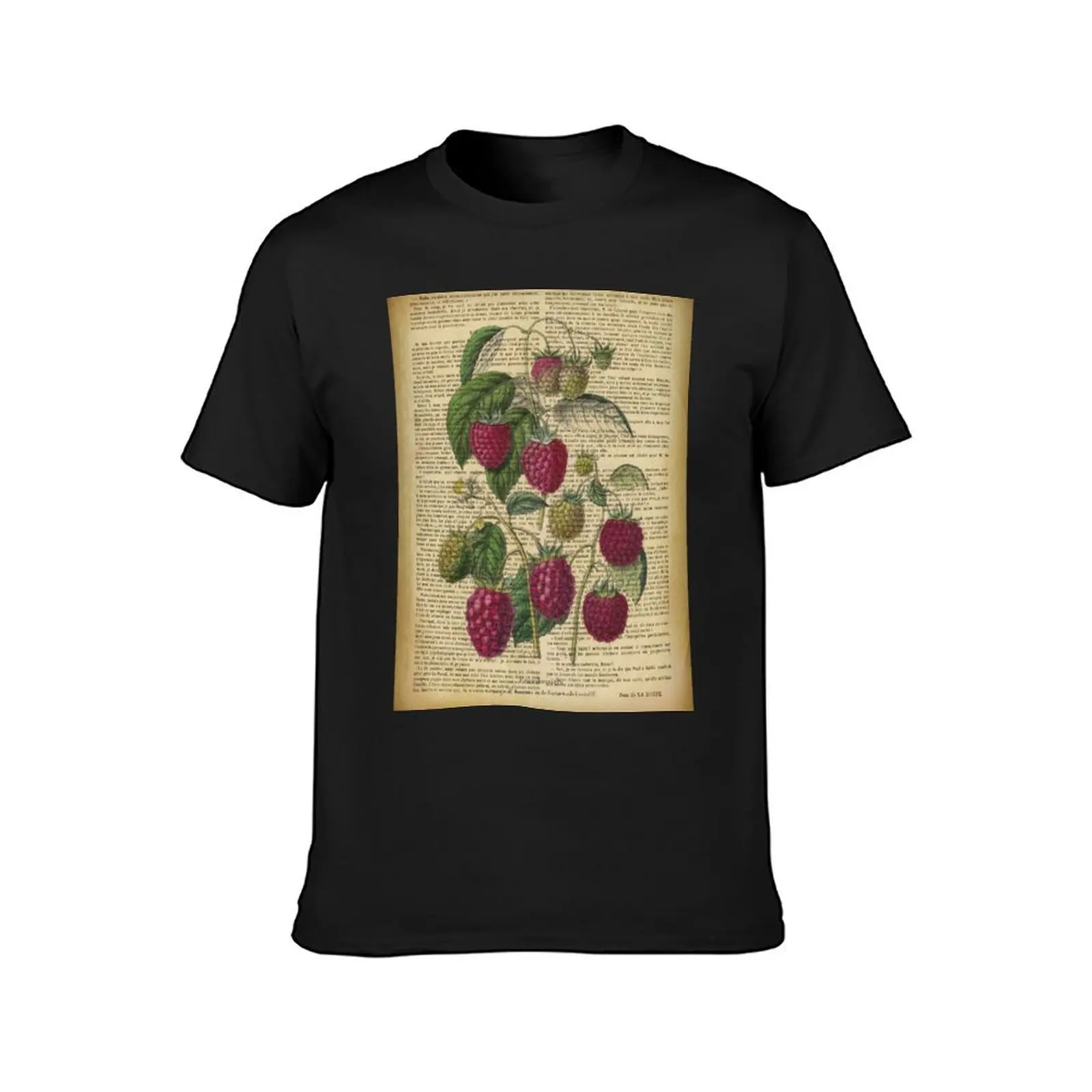 Botanical print, on old book page - Raspberry T-Shirt heavyweights anime clothes plain sports fans men clothes