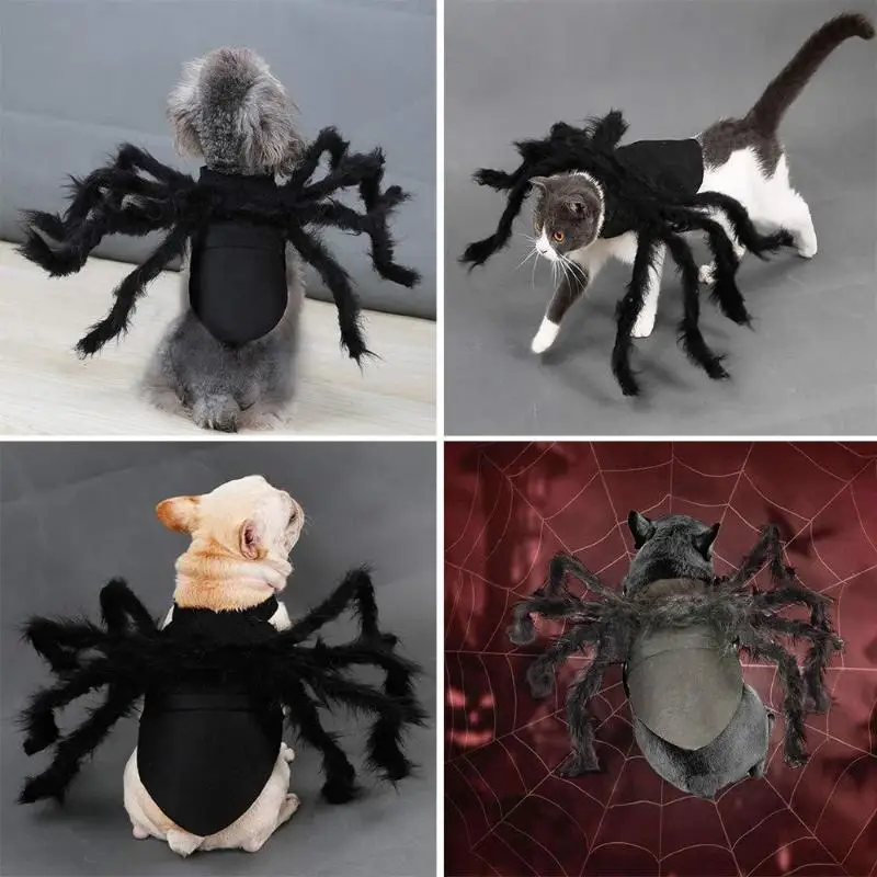 Costume d'araignée pour animaux de compagnie, tenue de transformation pour chat et chien, déguisement amusant pour Halloween, fête, vacances, accessoires cadeaux