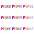 PE9791CT