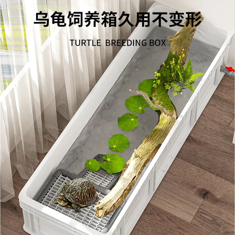 turtle hair color box, turtle breeding  microlandscape ecological  plastic fish tank, turtle  breeding