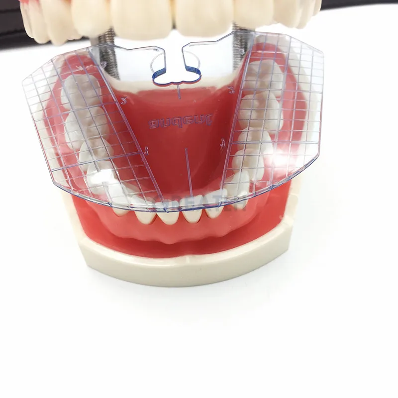 Piastra guida dentale disposizione dei denti su strumenti per protesi strumenti dentali strumento dentale 1 pz