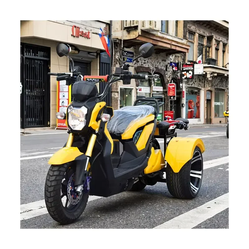 STROVAN 1000W/1500W Powerful Electric Trike Removable 60V Fashionable Battery Good Quality Double Seat 3-Wheel Open Body