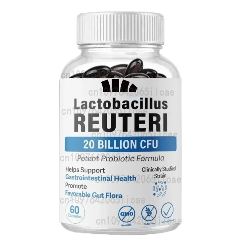 Lactobacillus probiotics 20 billion CFU L Reuteri probiotics intestinal health support -60 capsules - Image 5