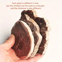 Natural Wood Stone Crystal Slice Petrified Wood Slice with Tree Ring Patterns for Home Decor Grounding Energy Specimen Healing 2