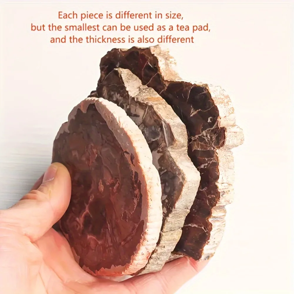 Natural Wood Stone Crystal Slice Petrified Wood Slice with Tree Ring Patterns for Home Decor Grounding Energy Specimen Healing