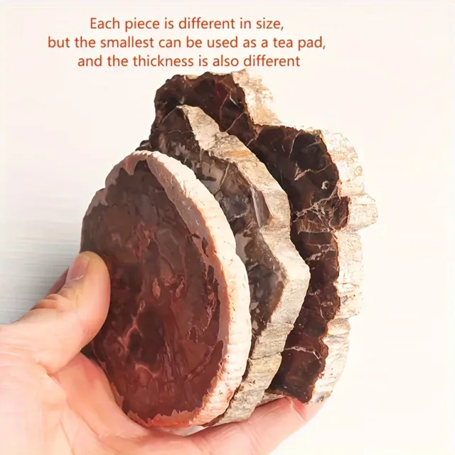 Natural Wood Stone Crystal Slice Petrified Wood Slice with Tree Ring Patterns for Home Decor Grounding Energy Specimen Healing 2