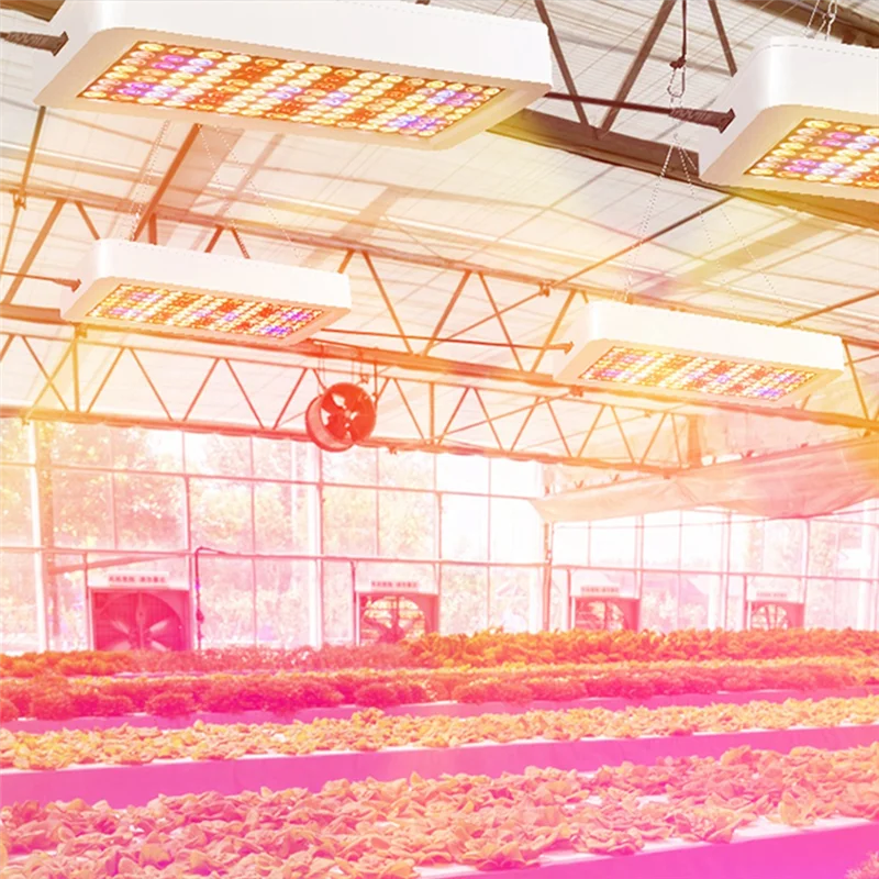 ABLL-240LED تنمو أضواء النبات الطيف الكامل الدفيئة تزايد مصباح للنباتات الداخلية الخضار المائية Phytolamp