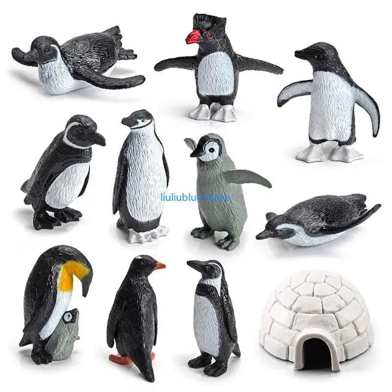 

Penguin Animal Model Toy Figures of 11 Pcs for Children’s Room Tabletop Decor 62CF