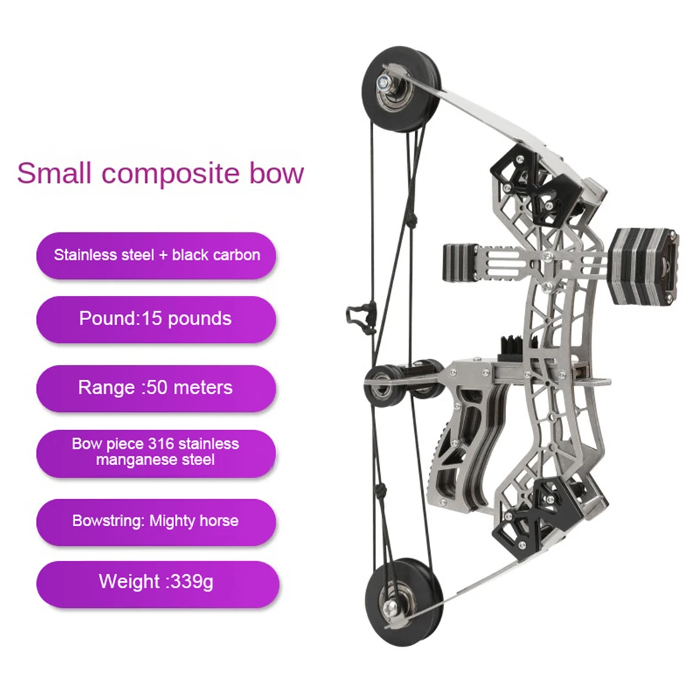 Mini Bow and Arrow Small Compound Bow Target Shooting Sports Archery Equipment Outdoor Beginner's Entry Bow and Arrow Set