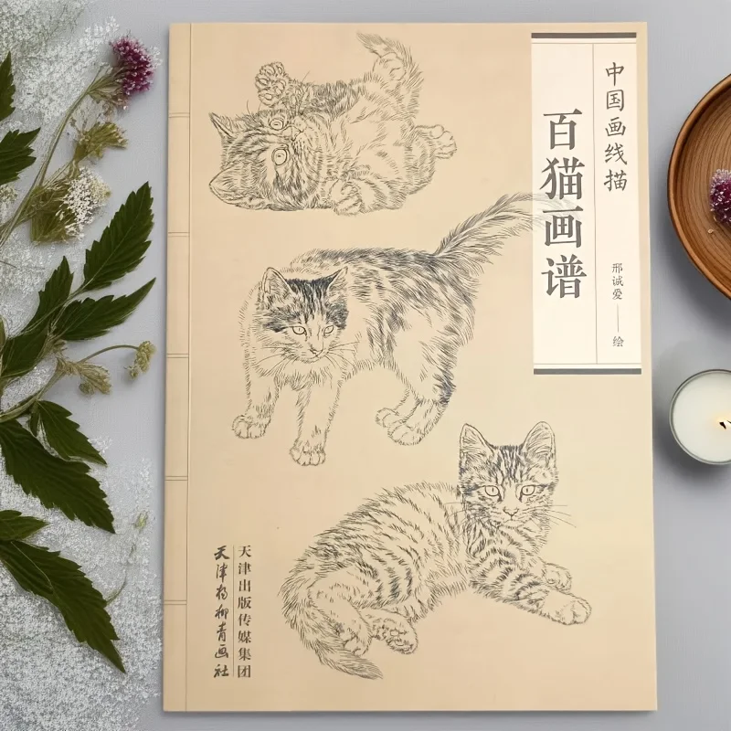 Coloring Book for Adults and Teens Featuring  with Easy and Simple Designs for Relaxation Chinese painting sketch