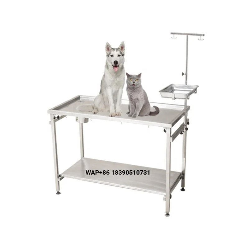 Stainless steel pet medical veterinary operating table veterinary equipment dog surgical examination table