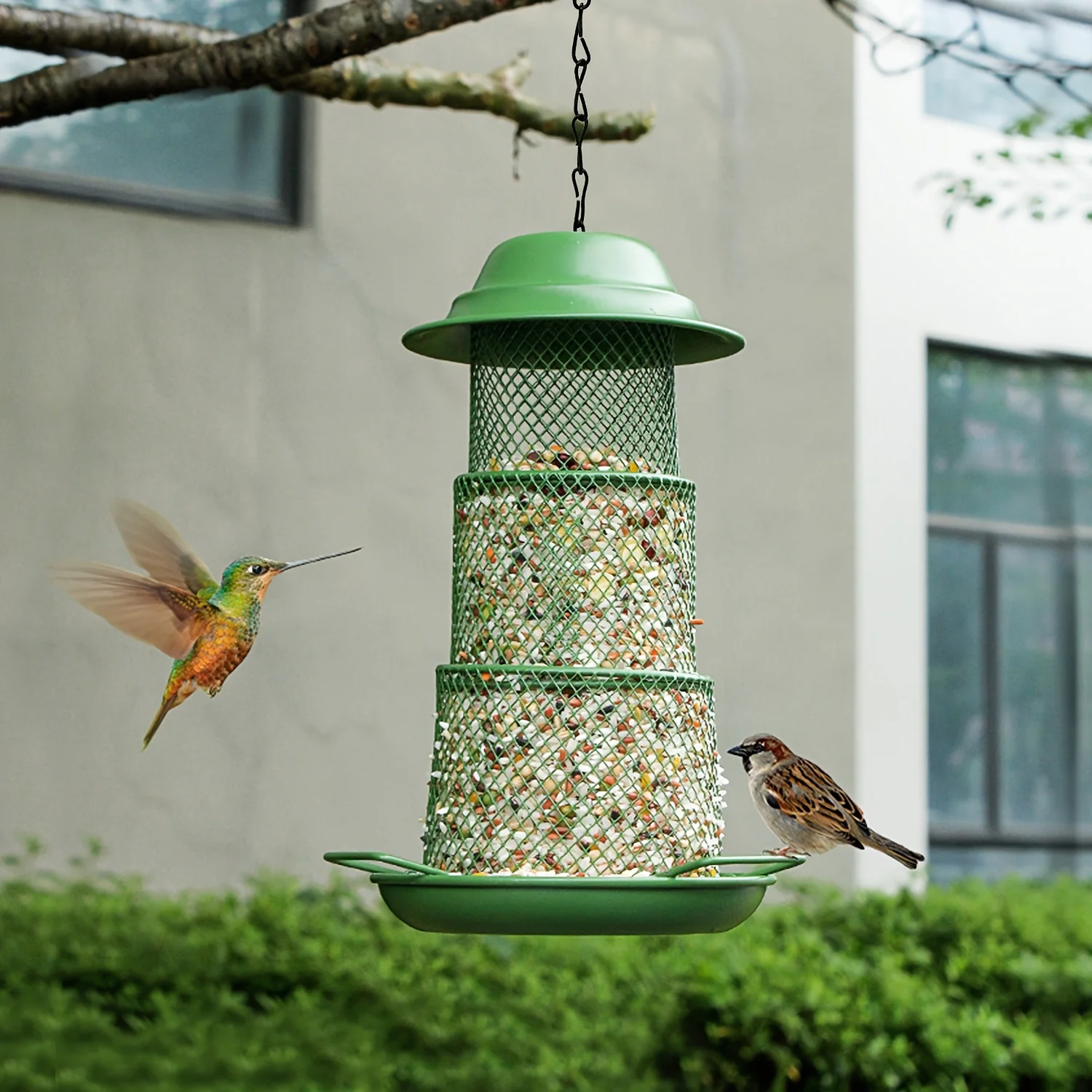 No-Mess Metal Bird Feeder - Durable Hanging Bird Seed Feeder for Outdoor Garden & Patio Wildlife Feeding - Freestanding, Electro