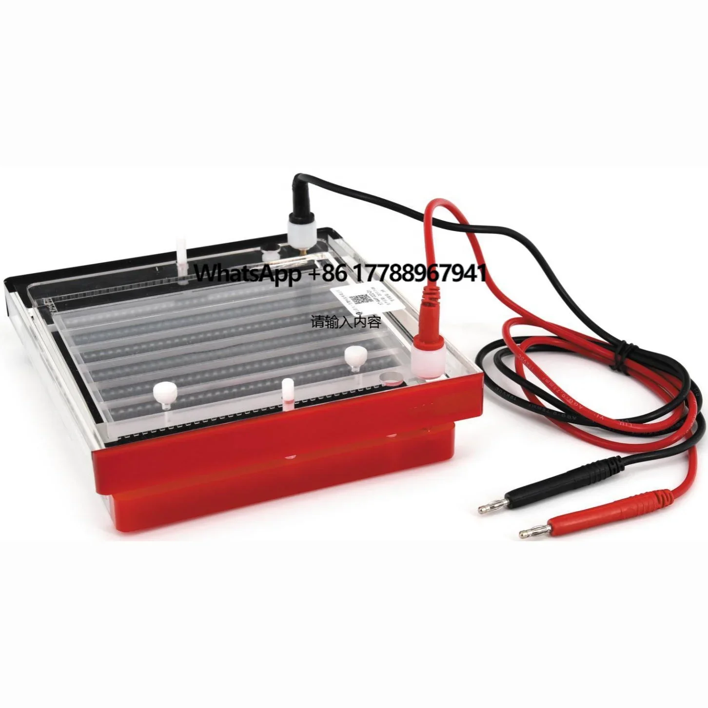 

CHINCAN DYCP-44P Nucleic Acid Horizontal Gel Electrophoresis Cell Tank System for PCR Samples DNA Identification and Separation