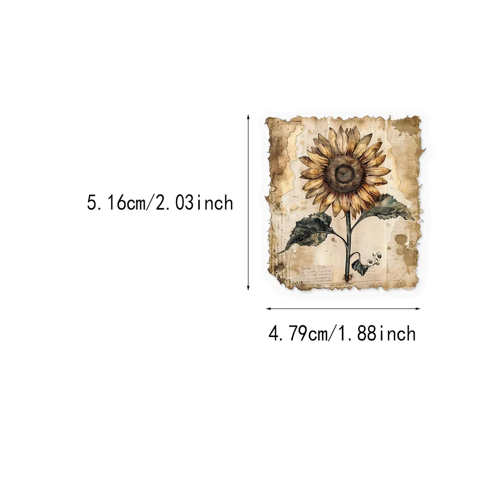 50 STKS Vintage Etiketten Vintage Items Minimalistische Stijl Stickers DIY Telefoon Gevallen Laptops Waterflessen Handrekeningen PET Stickers