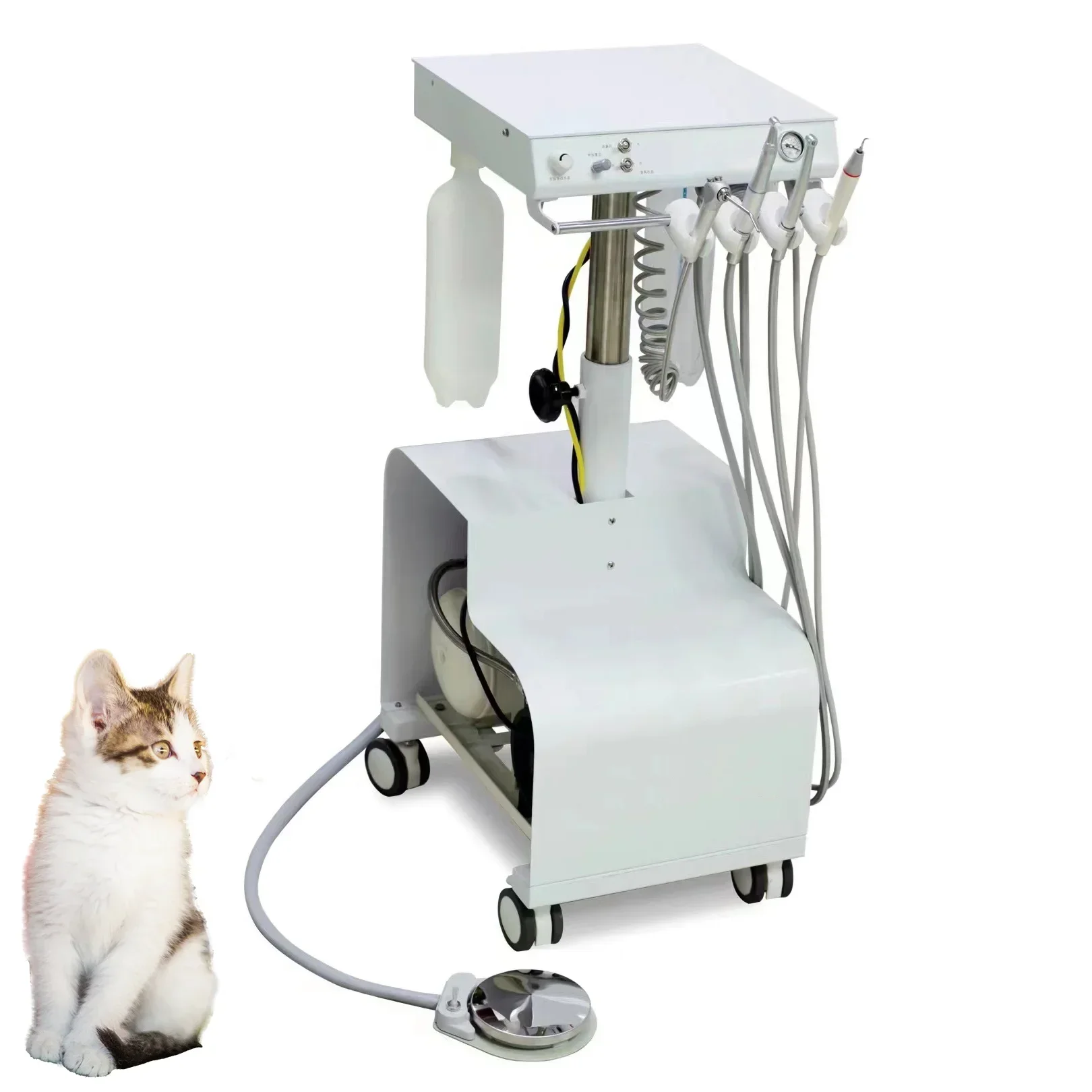 Suitcase Mini Portable Electric Veterinary Unit High-Quality After-Sales Medical Mobile