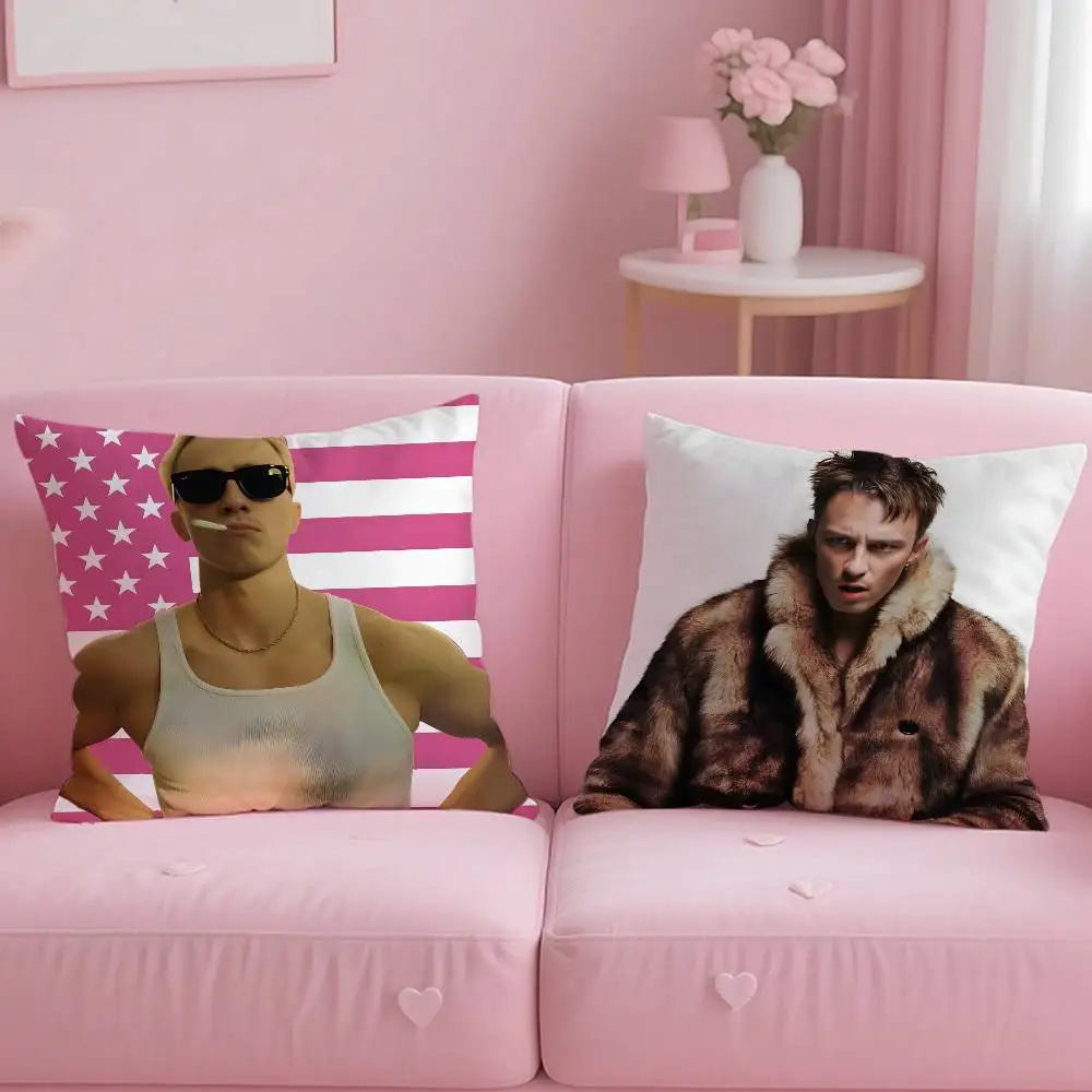 D-Drews Starkey Pillow Case Anti-dustmite Pillowcase Invisible Zipper Silky Short Plush Sofa Cushion Cover
