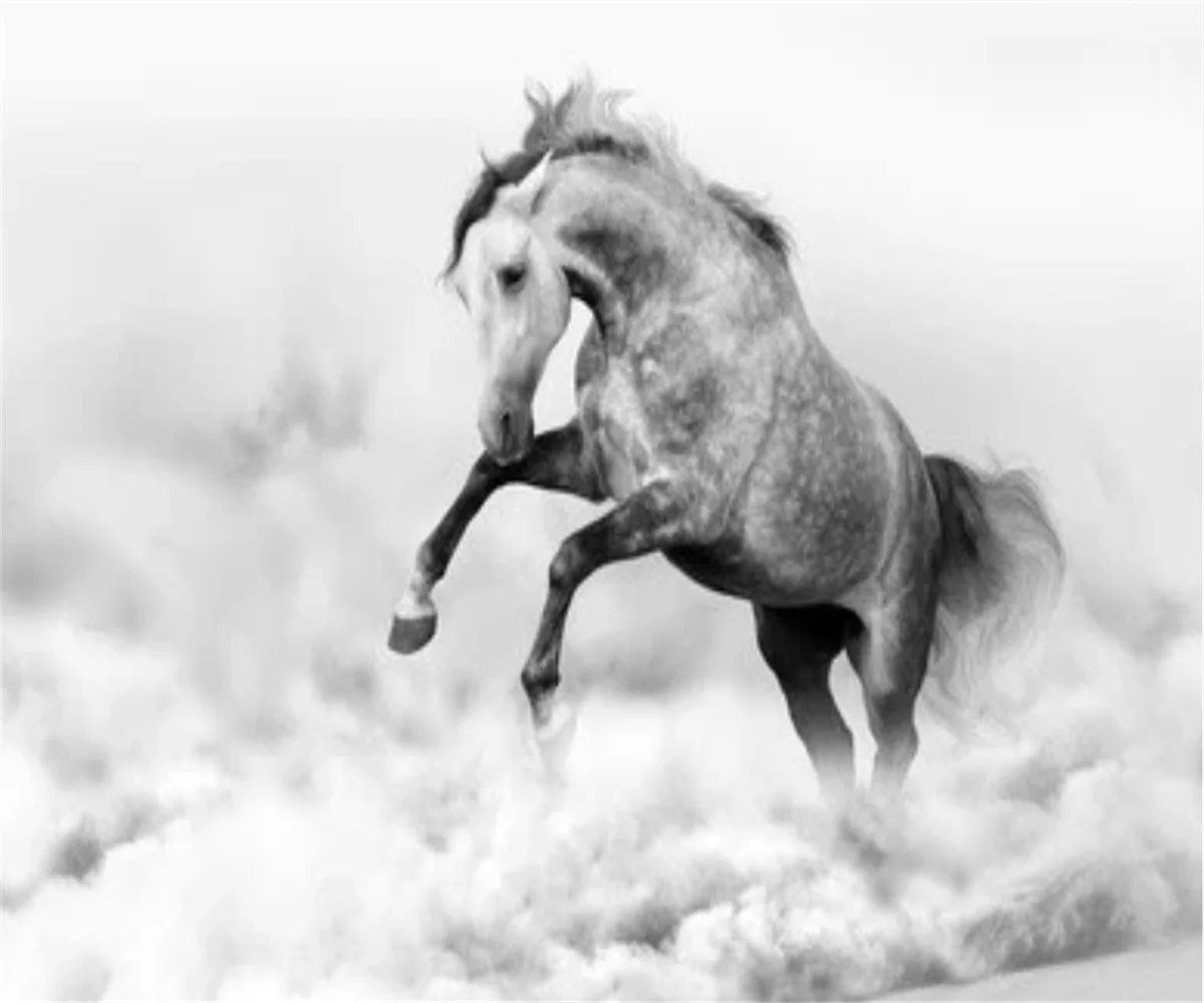 Customized size wallpaper, black and white, galloping horse, lake mural, home decoration animal decoration painting 3d wallpaper
