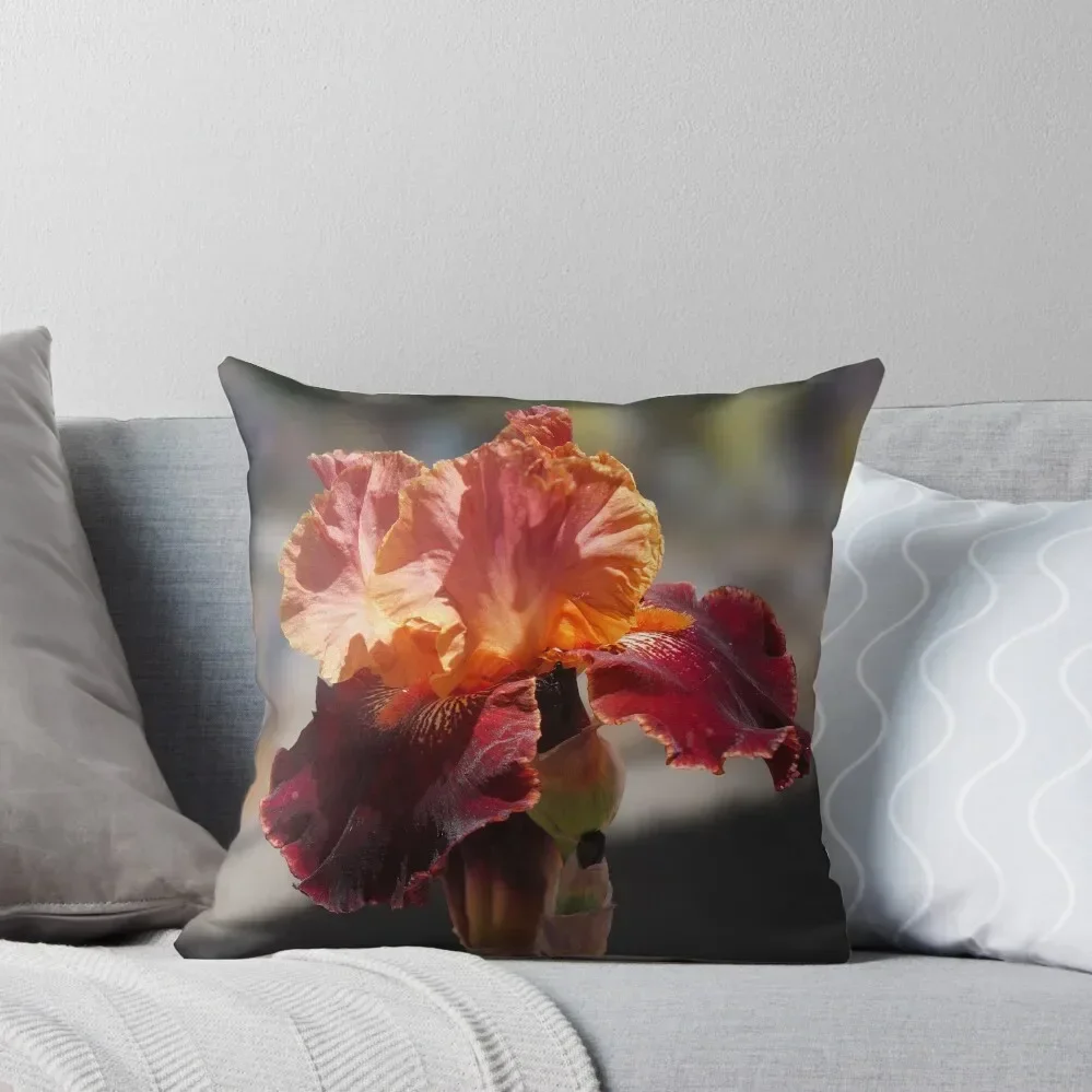 The Dramatic Colors…