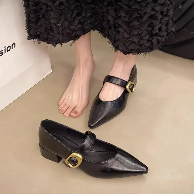 

Women's Metal Buckle Soft Leather Mary Jane Shoes Versatile Vintage Low Heel Single Shoe Spring New Pointed Mary Jane Shoe