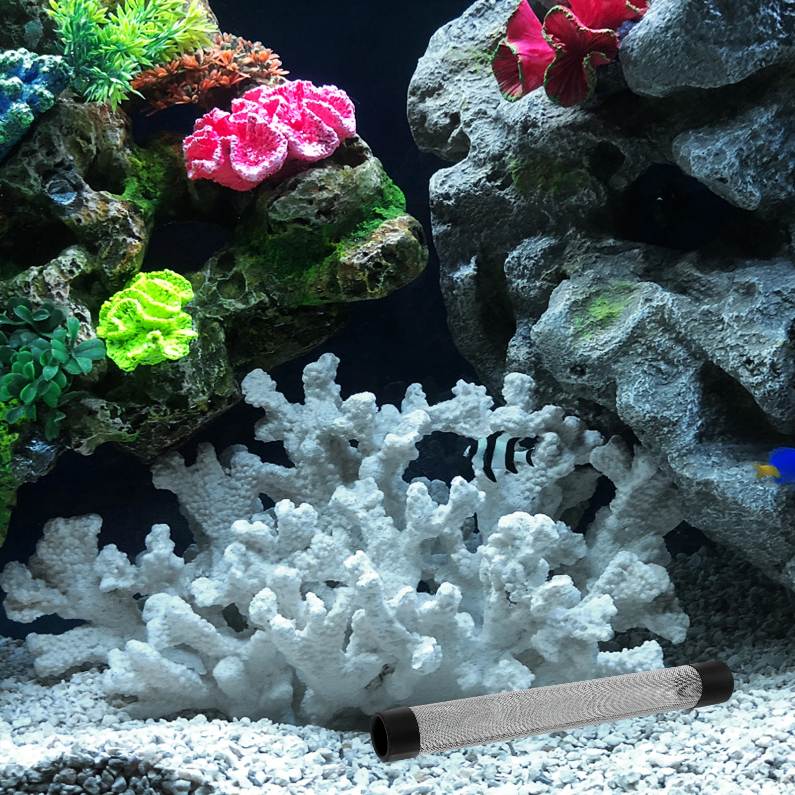 

Stainless Steel Inlet Mesh Cover For Fish Tank High Efficiency Filtration Guard Aquarium Canister Filter Shrimp Protection