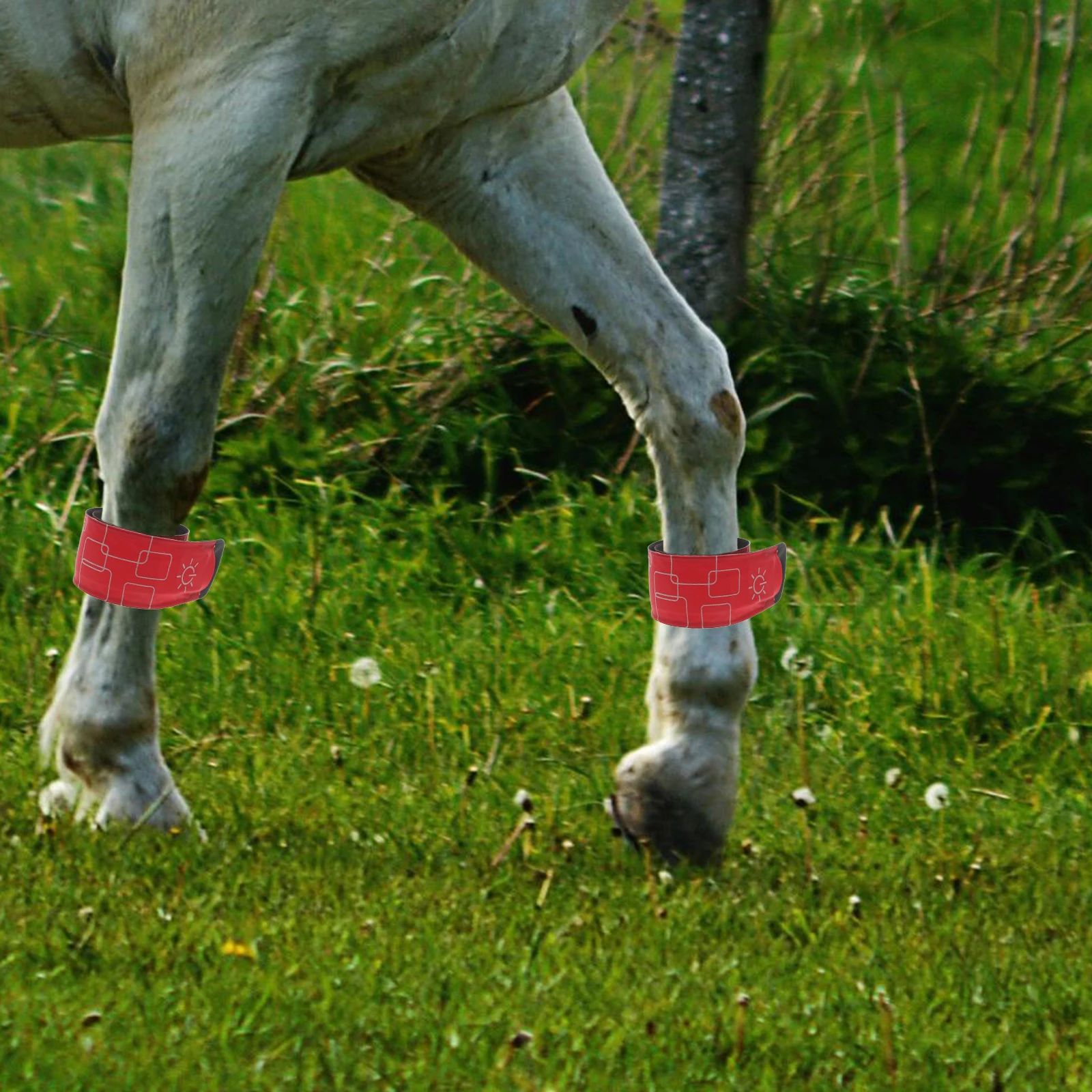 

4 Pcs LED Horse Ankle Strap Light Bracelets Safety Adjustable Leg Glow Dark Riding Cycling Night Running Outdoor