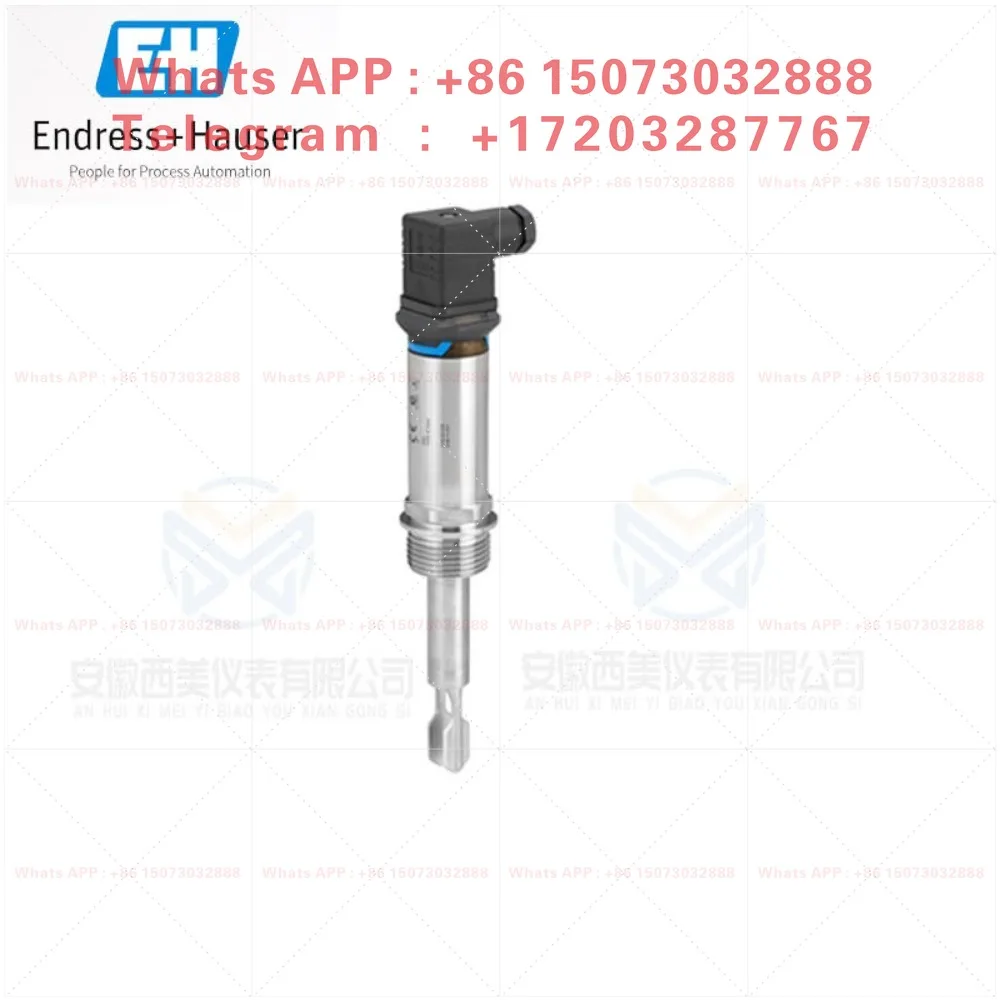 Liquid tuning fork limit switch FTL31 33 FTL41 51B 62 64 51H