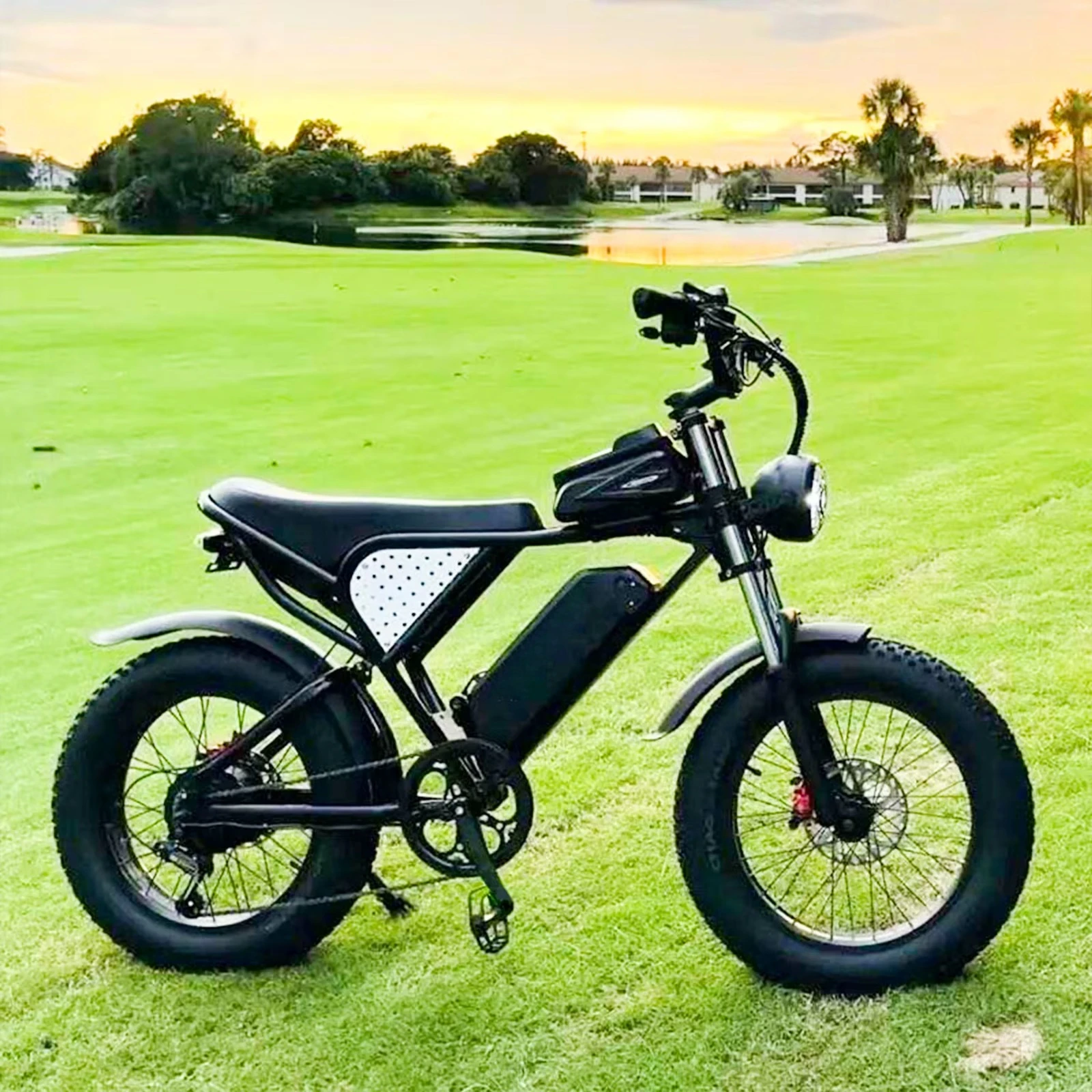 Hot Sale Q20 20 Inch EBike 48v 20Ah Fat Tire E-bik Electric Hybrid Mountain Dirt Bike Electric Bicycle for Adults