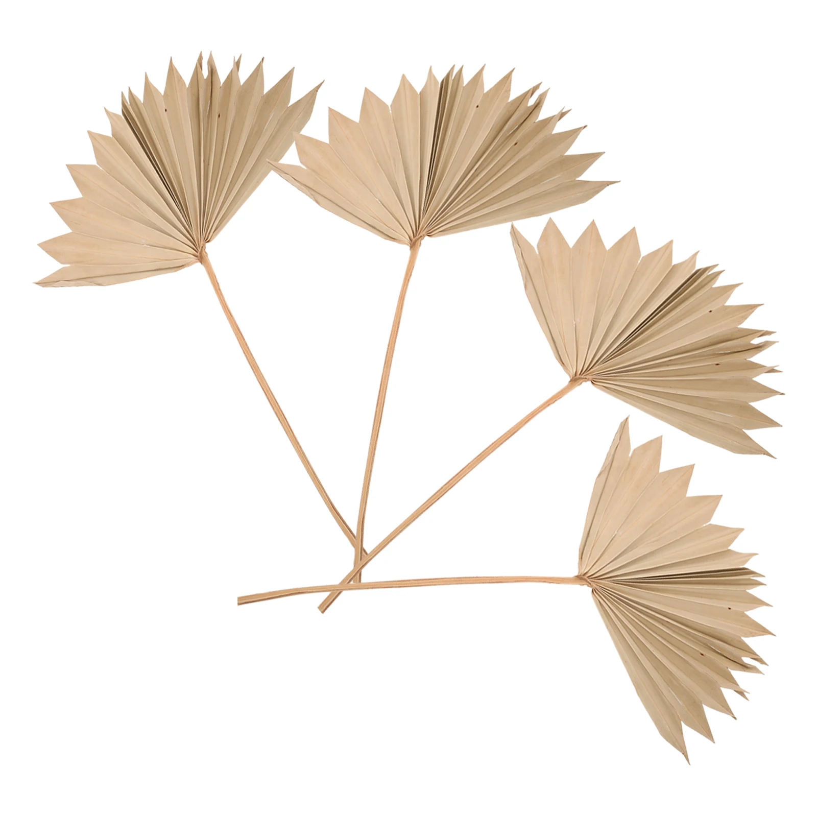 

4 Pcs Leaf Adorn Palm Leaves Decoration Beige Fan Shaped Wedding Home Wall Art Boho Style Arrangement Ornament