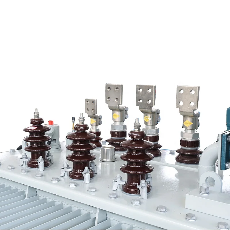 Copper Winding Oil Immersed Transformer 50kVA 100kVA 160kVA Three Phase 6kV 10kV 0.4kV Low Loss for Retail Store Customized