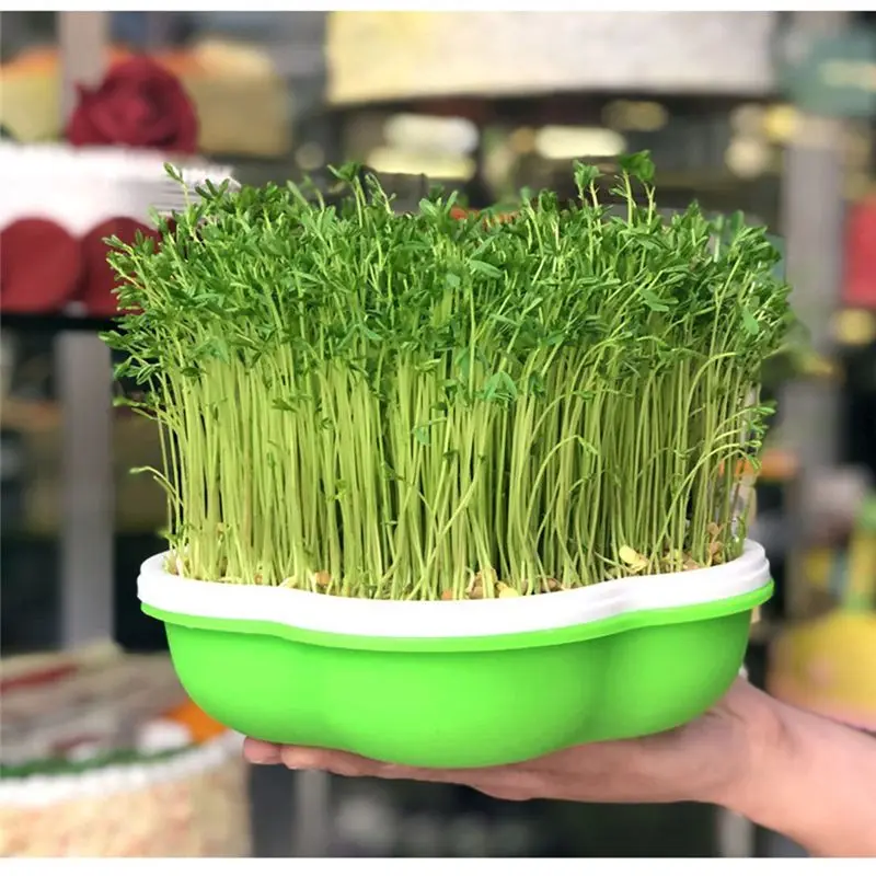 PZHI Bean Sprout Germination Pot, Soilless Hydroponic Seedling Tray, Wheatgrass Growing Container, Sprout Growing Kit, Plastic