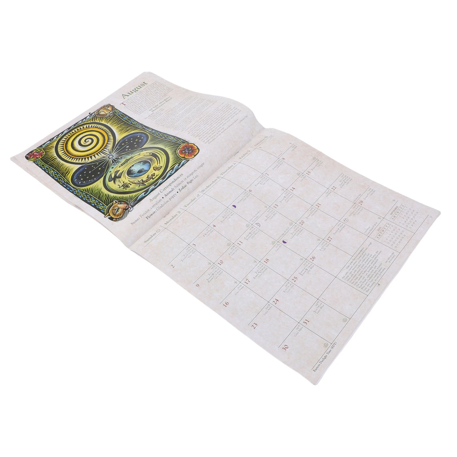 2026 Witches Calendar Coated Paper Astrological Witches Planner Calendar with Spells Rituals Moon Phases 2026 Witches Datebook