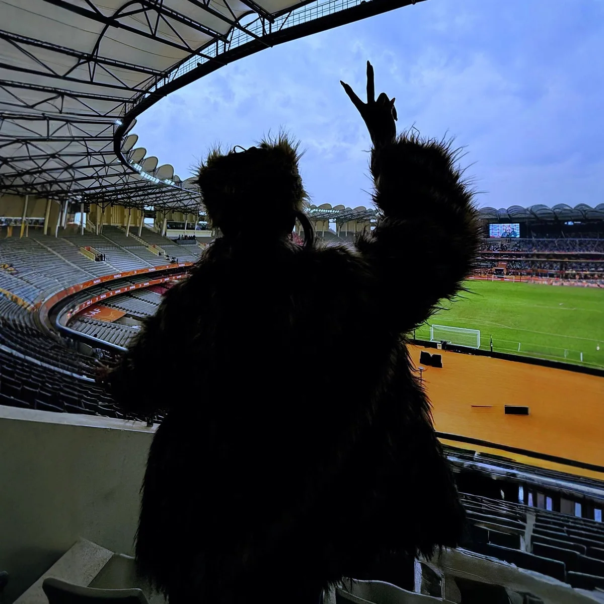 秋冬用ファー付きアウター レディース フェイクフォックスファーコート ジャケット ターンダウンカラー 長袖 オープンステッチ 厚手 暖かいファー ルーズ 2025