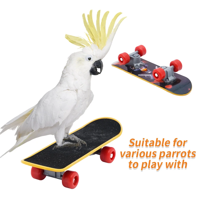 Bird Toys Funny Parrot Mini Skateboard Toy Birds Training Skateboard For Budgies Parakeet Growth Toy Pet Toy Bird Accessories